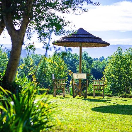 Quinta Da Chouza Agroturismo E Enoturismo 塞洛里库迪巴什图 外观 照片