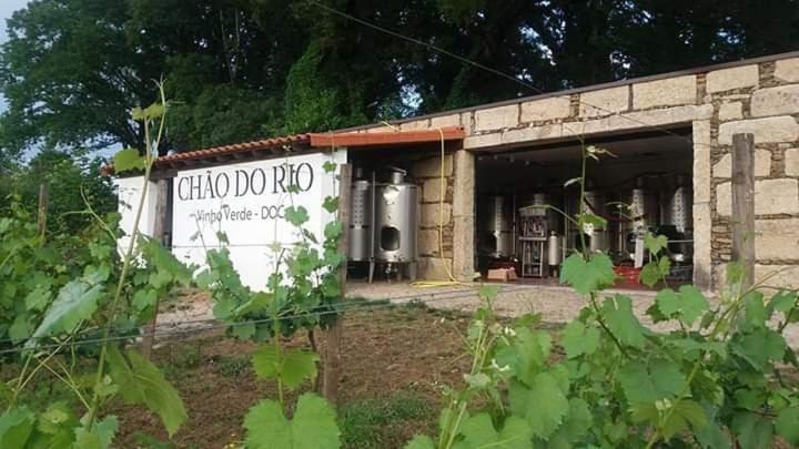 Quinta Da Chouza Agroturismo E Enoturismo 塞洛里库迪巴什图 外观 照片