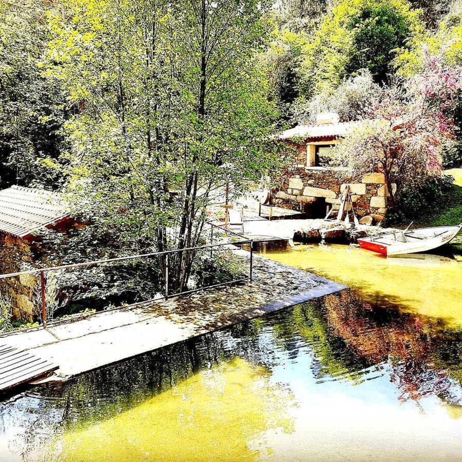 Quinta Da Chouza Agroturismo E Enoturismo 塞洛里库迪巴什图 外观 照片
