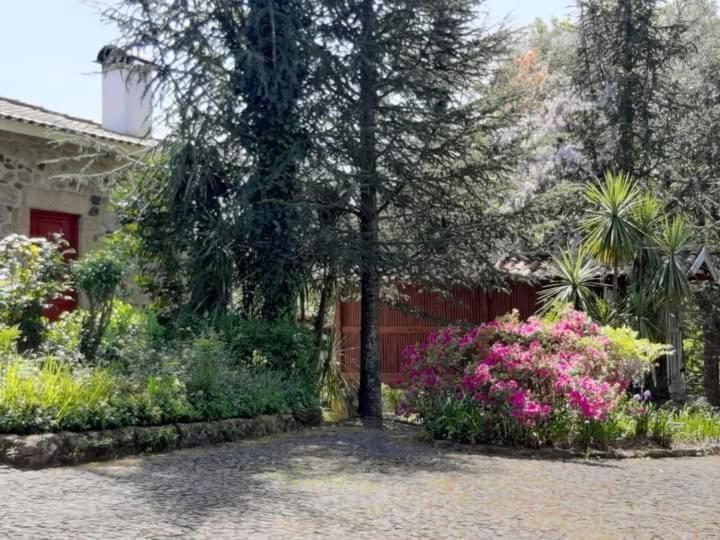 Quinta Da Chouza Agroturismo E Enoturismo 塞洛里库迪巴什图 外观 照片