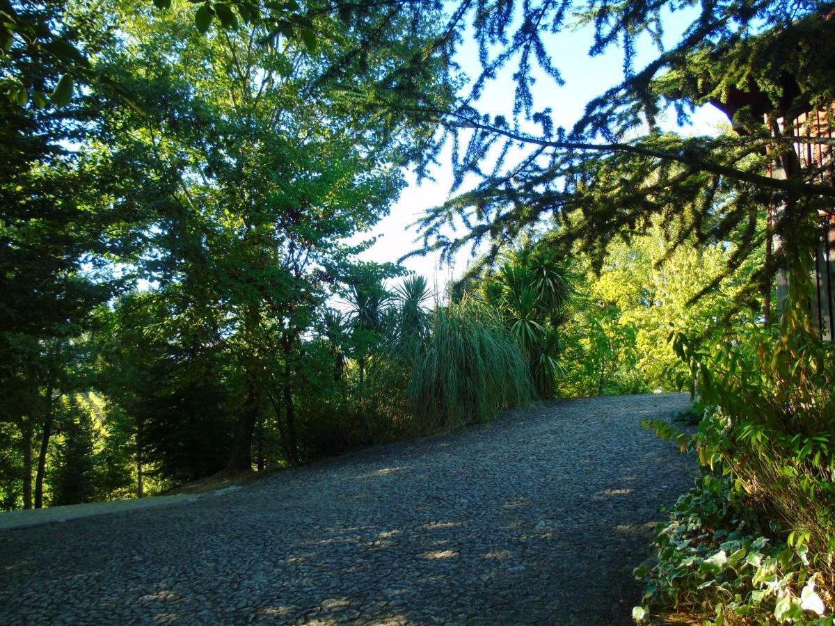 Quinta Da Chouza Agroturismo E Enoturismo 塞洛里库迪巴什图 外观 照片
