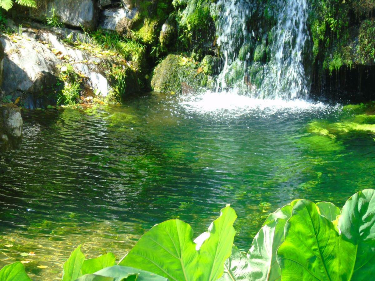 Quinta Da Chouza Agroturismo E Enoturismo 塞洛里库迪巴什图 外观 照片
