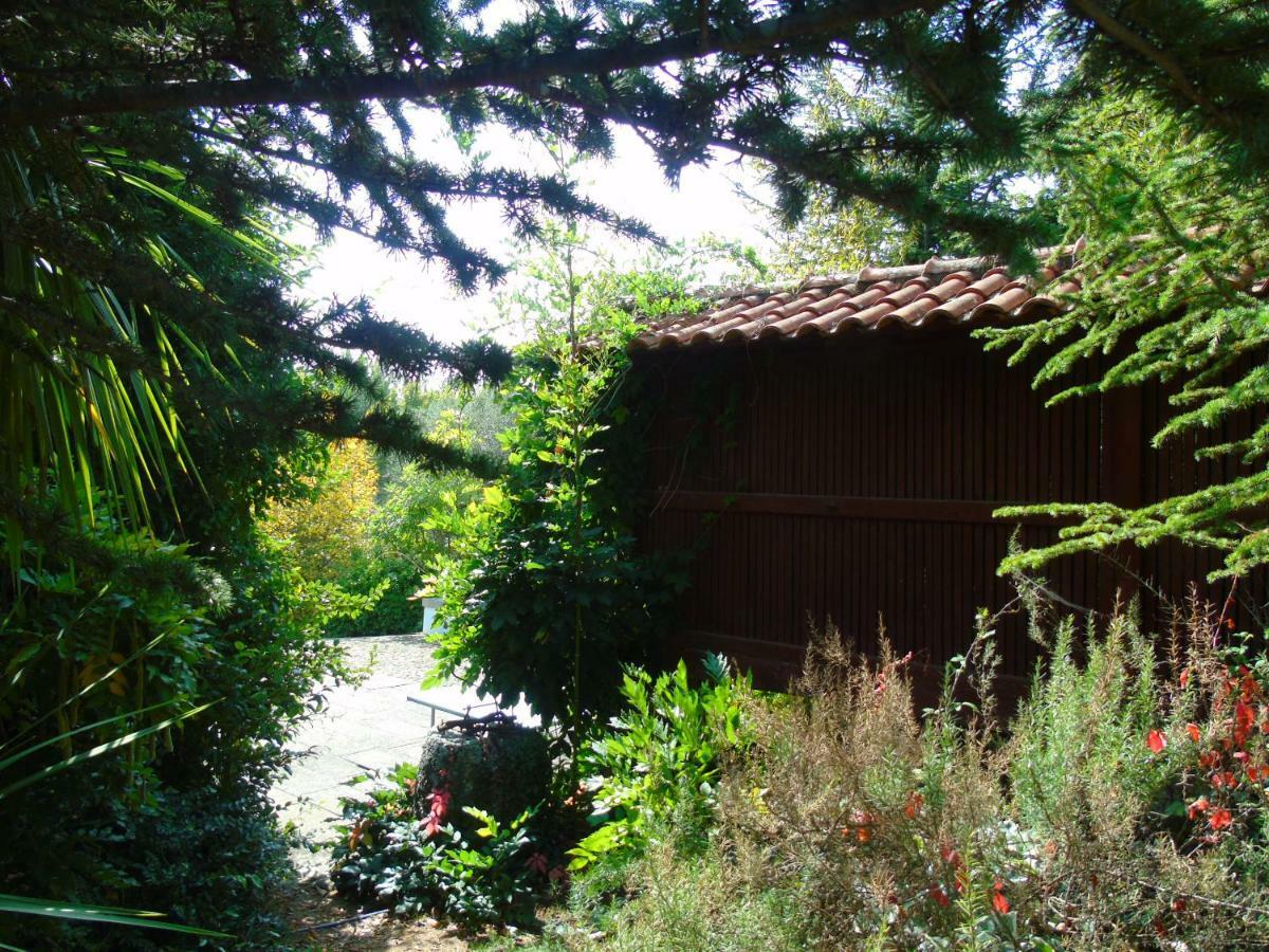 Quinta Da Chouza Agroturismo E Enoturismo 塞洛里库迪巴什图 外观 照片