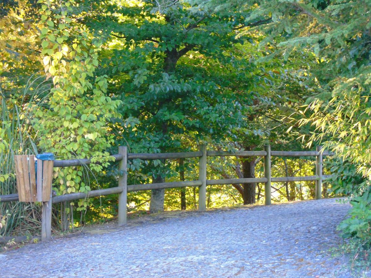 Quinta Da Chouza Agroturismo E Enoturismo 塞洛里库迪巴什图 外观 照片