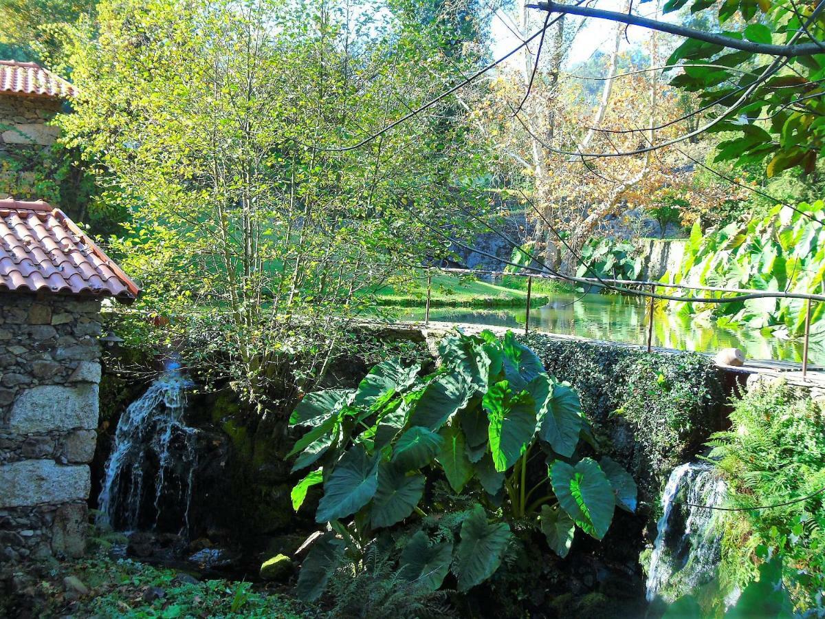 Quinta Da Chouza Agroturismo E Enoturismo 塞洛里库迪巴什图 外观 照片